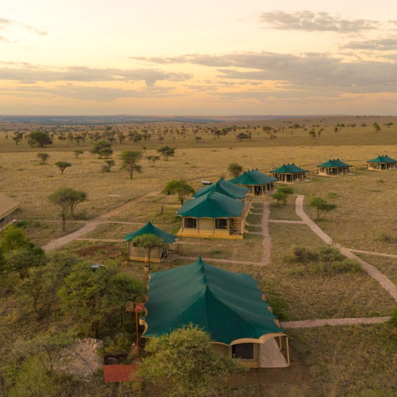 Camp_aerial_1