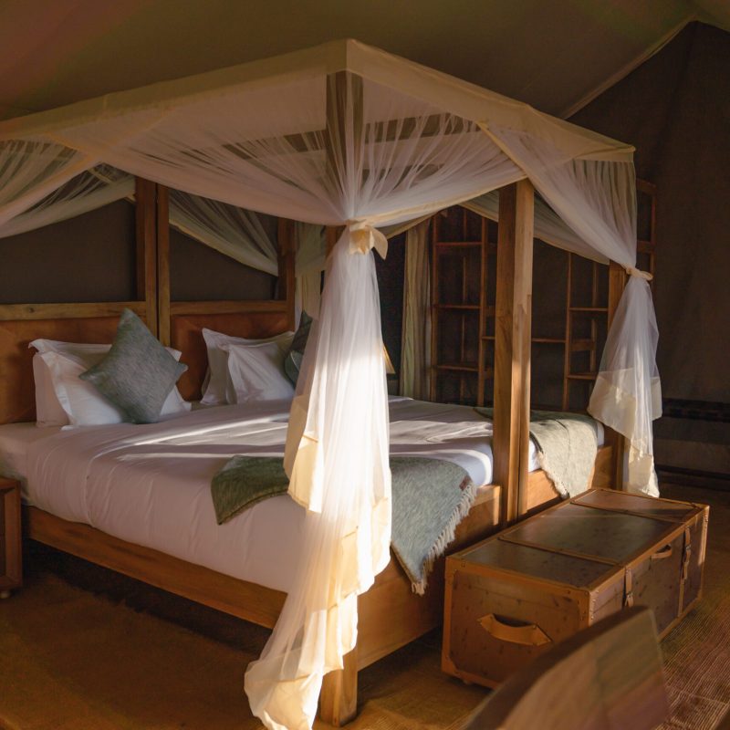 Enduata_guest_bed