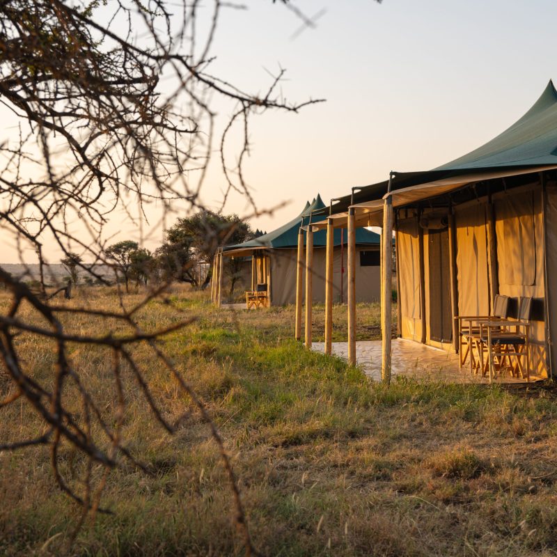 Enduata_Guest_Tent