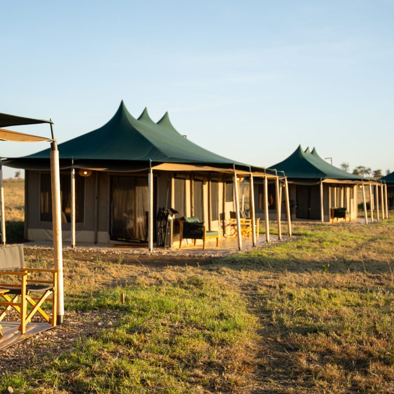Tents_exterior_1
